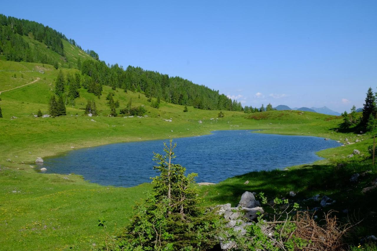 Casa Della Rosa Dolomites Experience Hotel Vigo di Cadore Bagian luar foto
